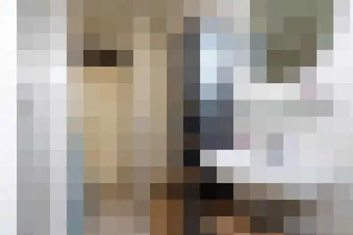 Amaryllishof 39 Nieuwendijk thumbnail 20