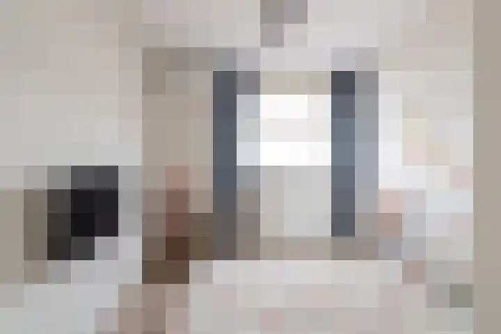 Amaryllishof 39 Nieuwendijk thumbnail 23