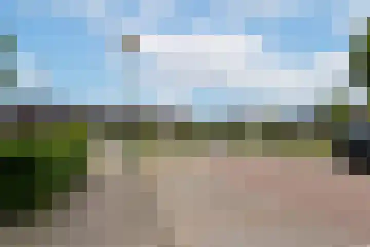 Amaryllishof 39 Nieuwendijk foto 3