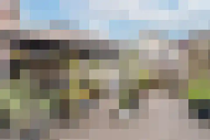 Amaryllishof 39 Nieuwendijk thumbnail 32