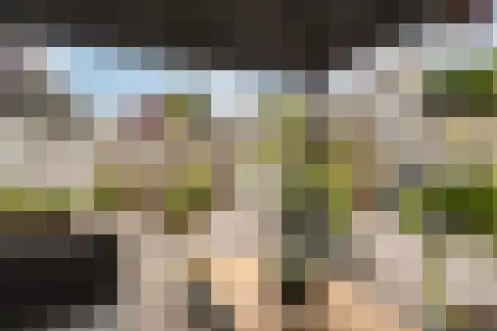 Amaryllishof 39 Nieuwendijk thumbnail 33