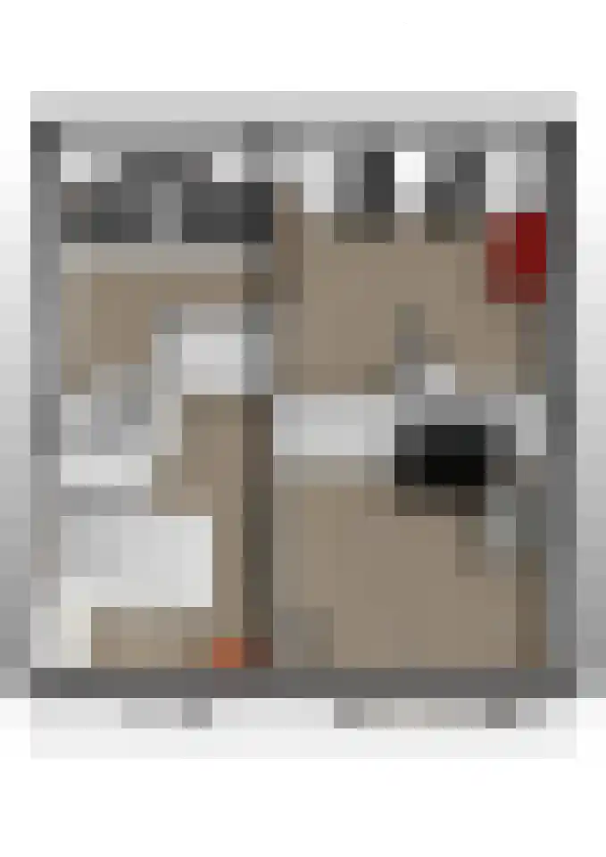 Amaryllishof 39 Nieuwendijk thumbnail 39