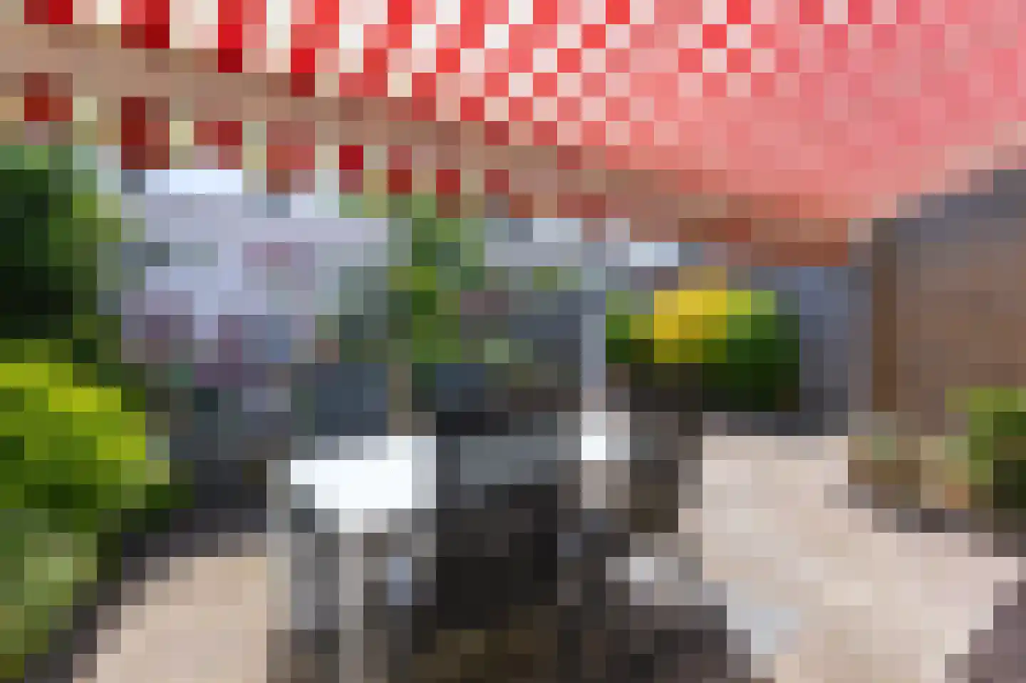 Amaryllislaan 10 Hoogkarspel thumbnail 12