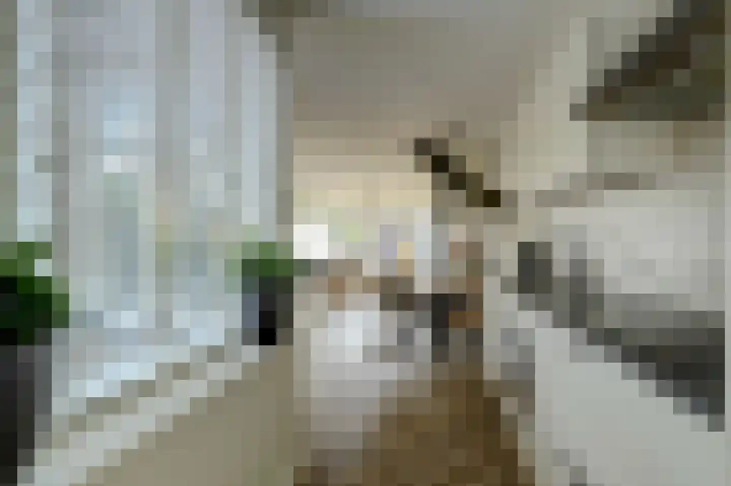Amaryllislaan 13 Hoogkarspel thumbnail 14