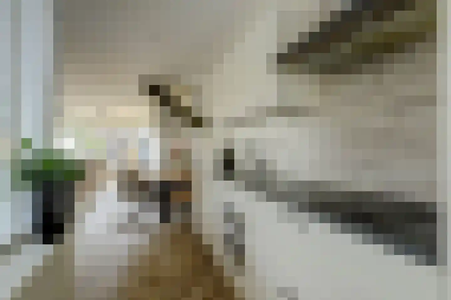 Amaryllislaan 13 Hoogkarspel thumbnail 16