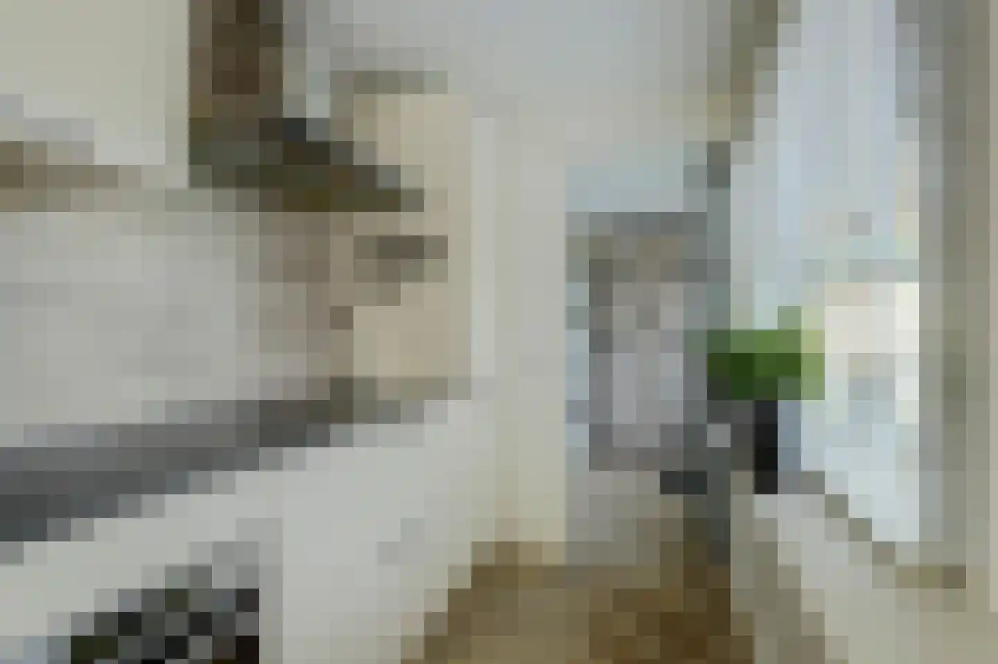 Amaryllislaan 13 Hoogkarspel thumbnail 17