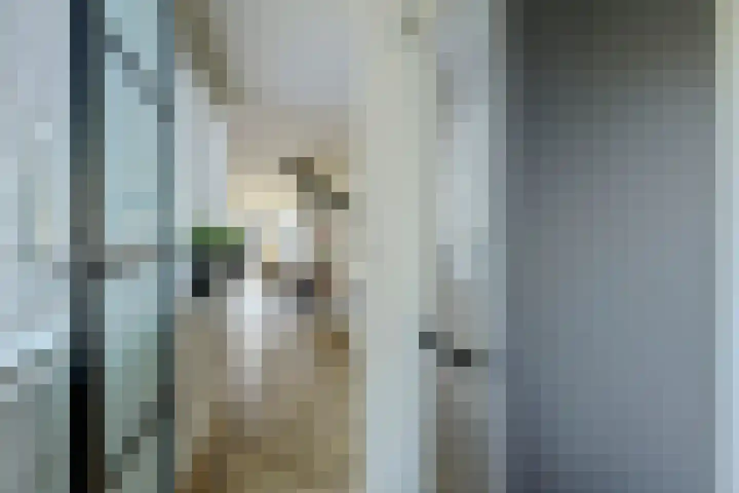 Amaryllislaan 13 Hoogkarspel thumbnail 20
