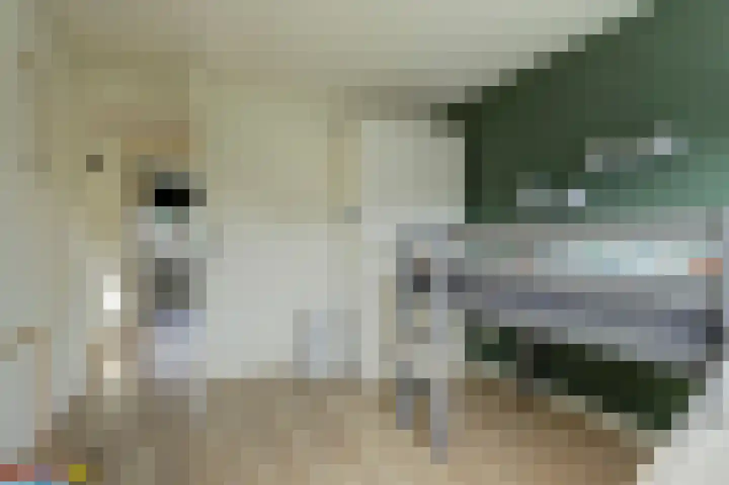 Amaryllislaan 13 Hoogkarspel thumbnail 28