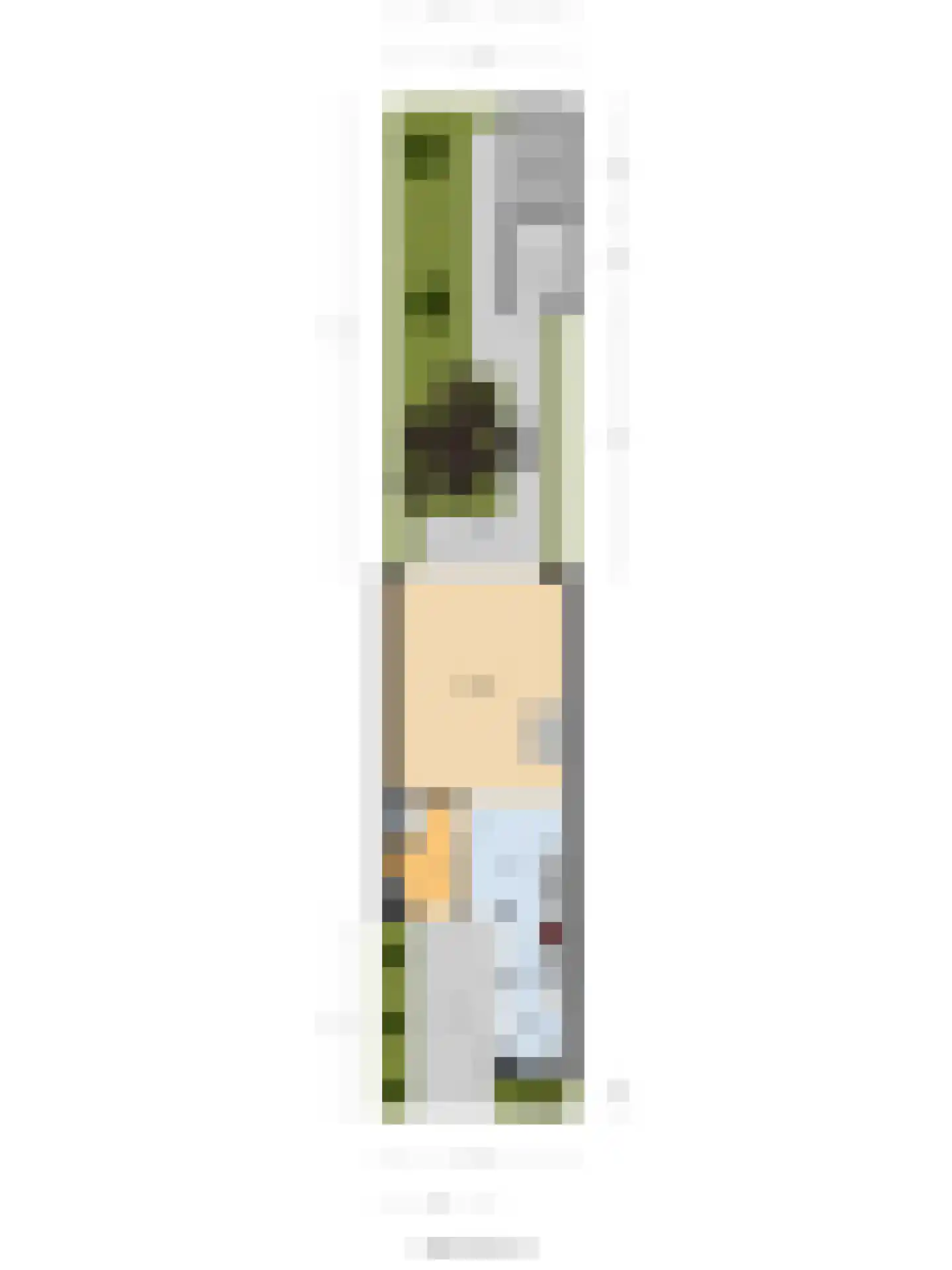 Amaryllislaan 13 Hoogkarspel thumbnail 57