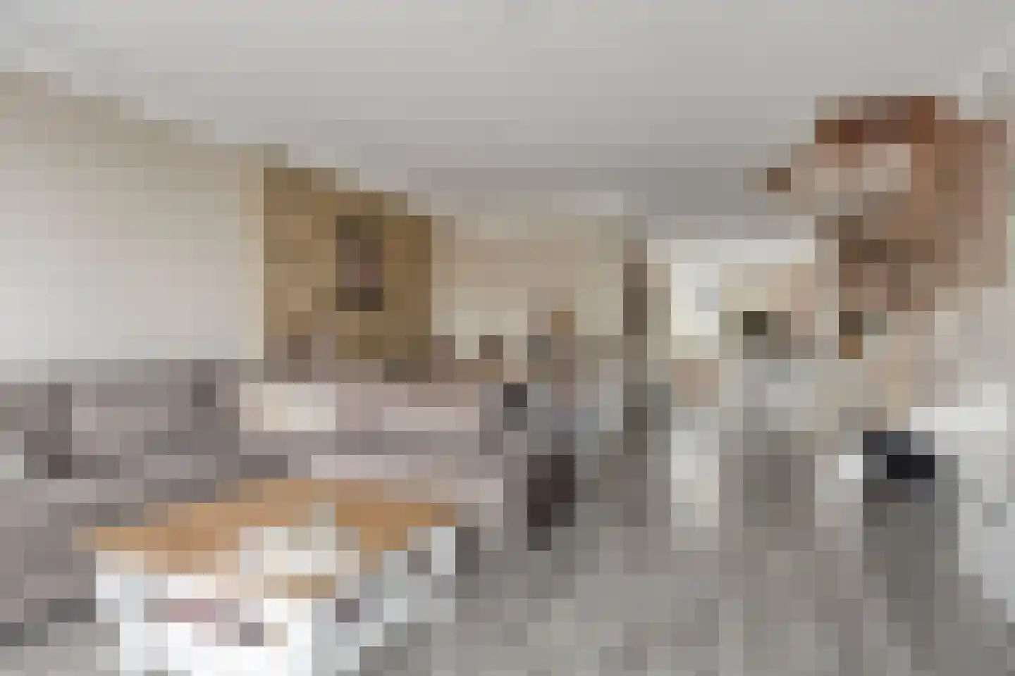 Amaryllislaan 15 Hoogkarspel thumbnail 10