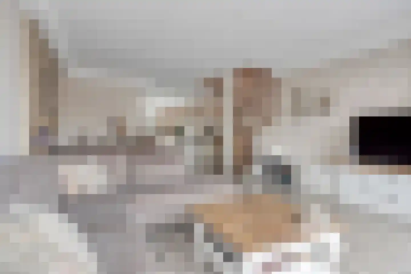 Amaryllislaan 15 Hoogkarspel thumbnail 11