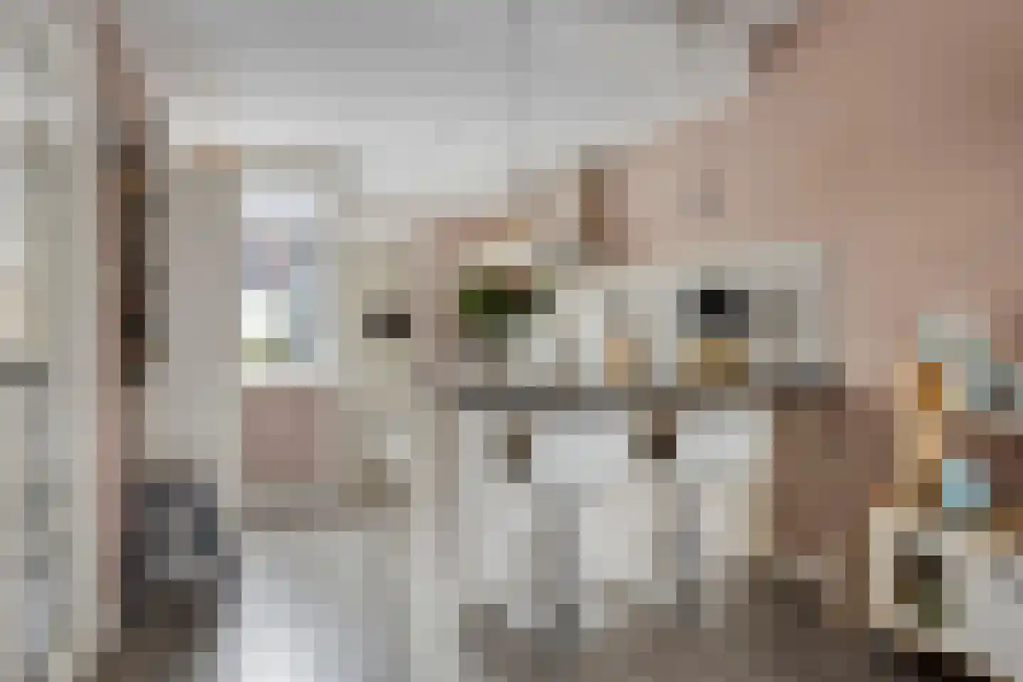Amaryllislaan 15 Hoogkarspel thumbnail 15