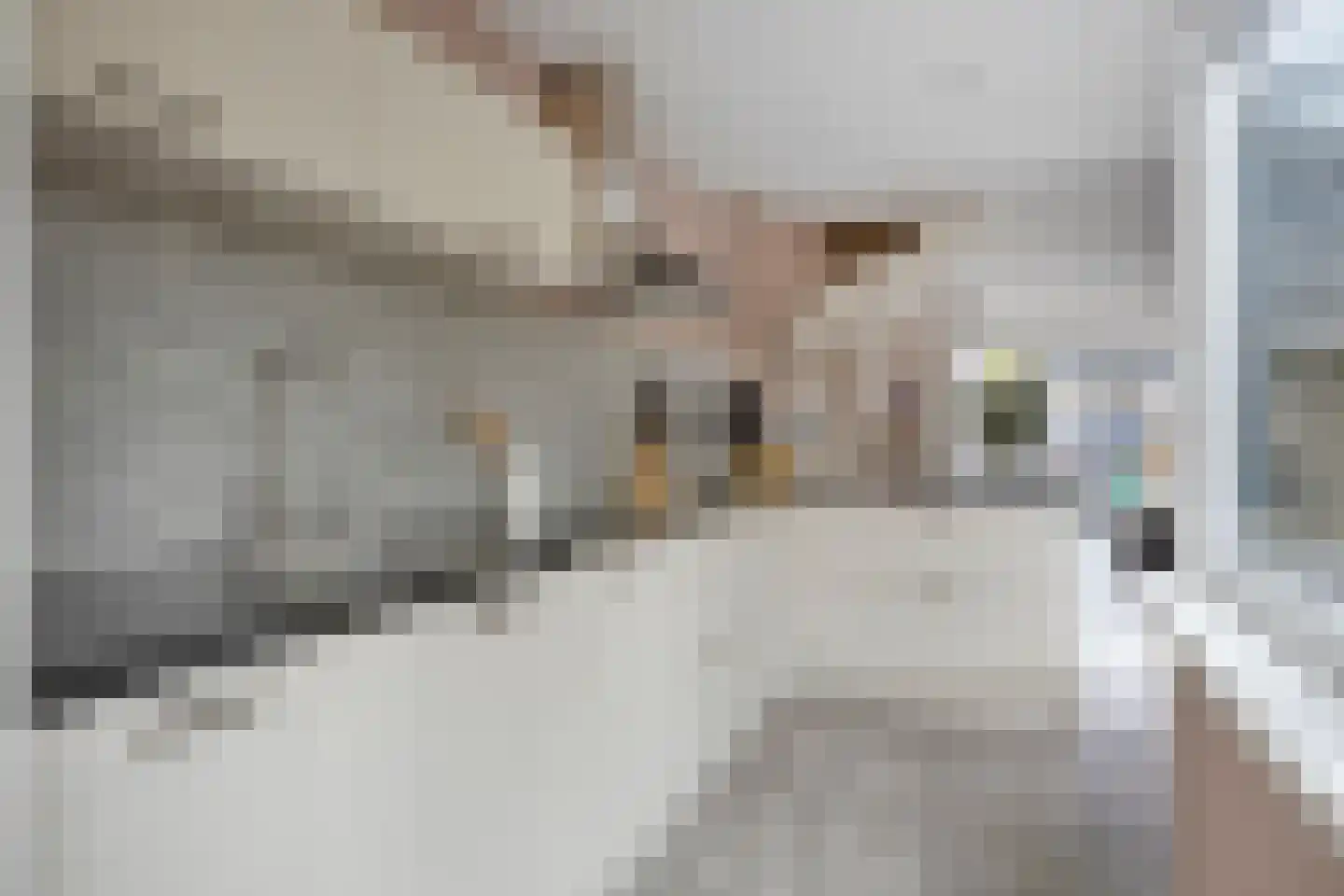 Amaryllislaan 15 Hoogkarspel thumbnail 18