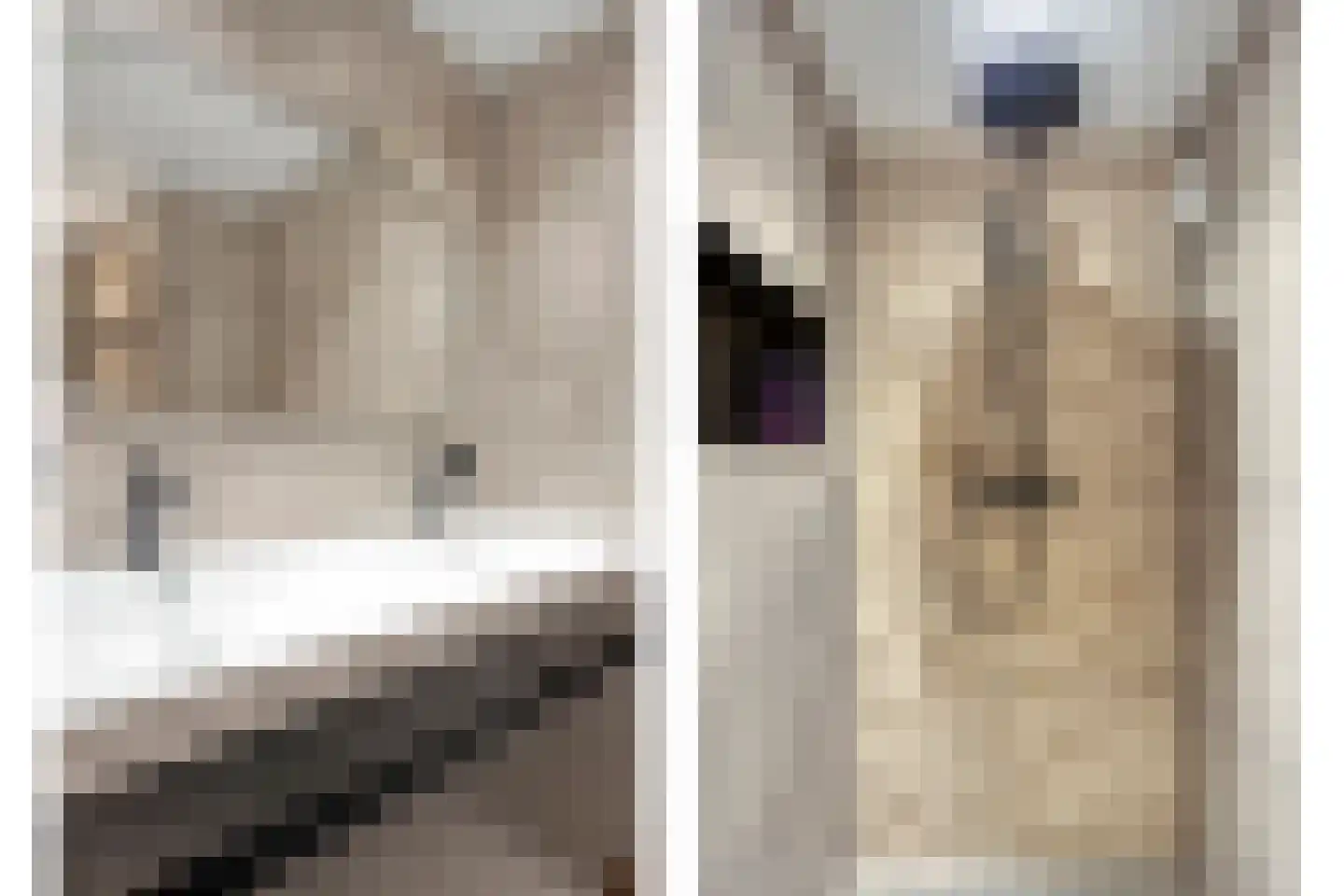 Amaryllislaan 15 Hoogkarspel thumbnail 27