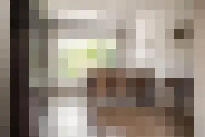 Amaryllislaan 16 Heemstede thumbnail 10