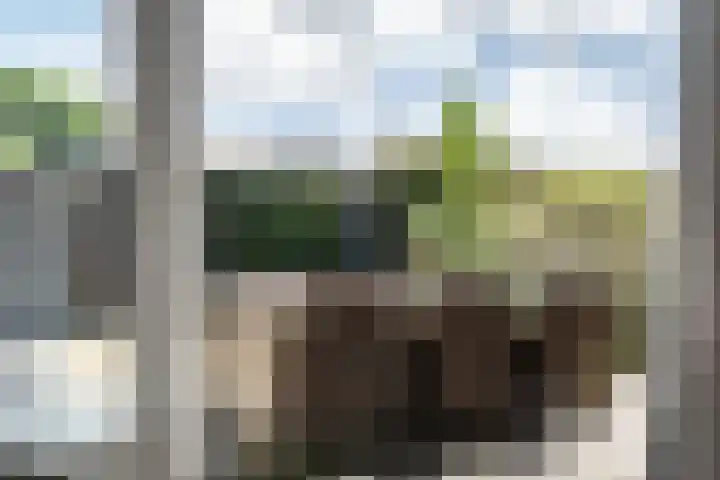 Amaryllislaan 16 Heemstede thumbnail 18
