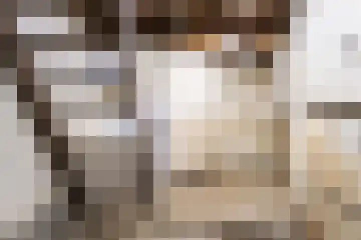 Amaryllislaan 16 Heemstede thumbnail 23