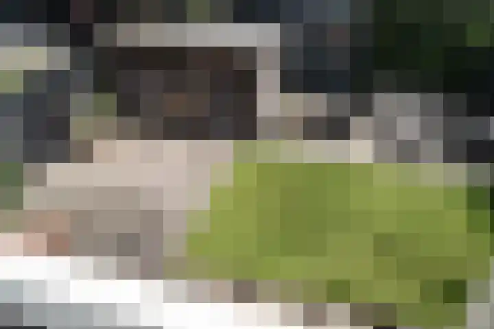 Amaryllislaan 16 Heemstede thumbnail 29