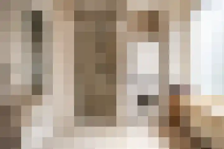 Amaryllislaan 16 Heemstede thumbnail 35