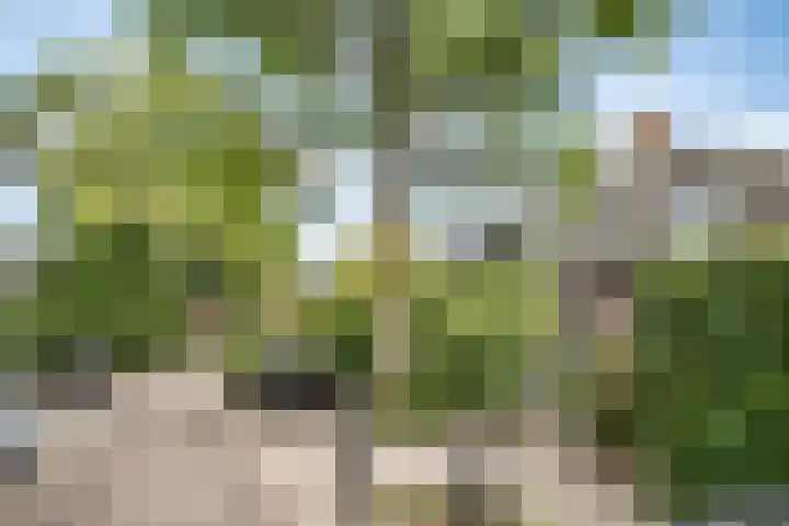 Amaryllislaan 16 Heemstede thumbnail 39