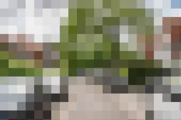 Amaryllislaan 16 Heemstede thumbnail 40
