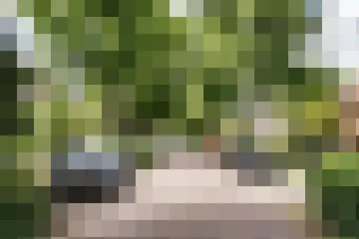 Amaryllislaan 16 Heemstede thumbnail 41