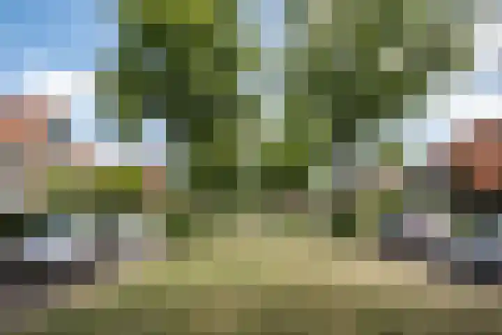 Amaryllislaan 16 Heemstede thumbnail 42