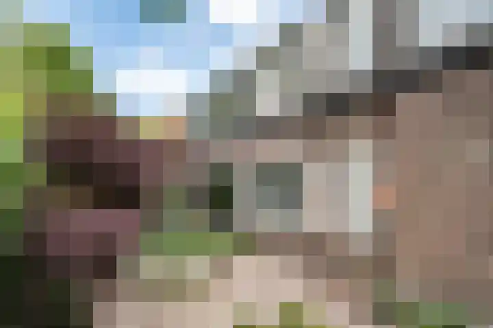 Amaryllislaan 16 Heemstede thumbnail 5