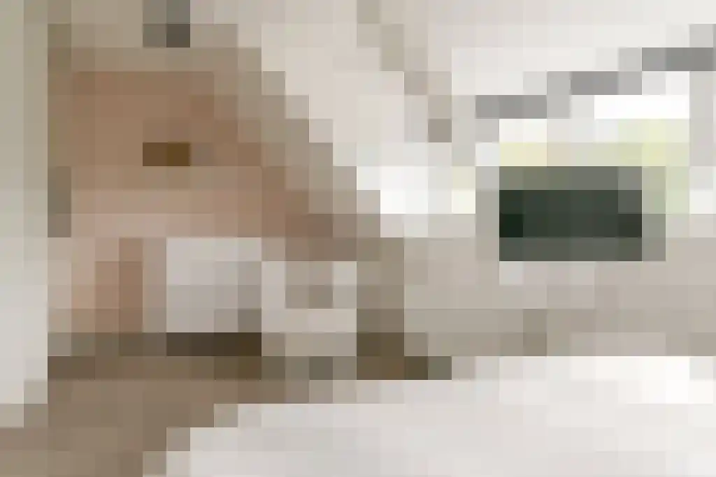 Amaryllislaan 2 Heemstede thumbnail 5