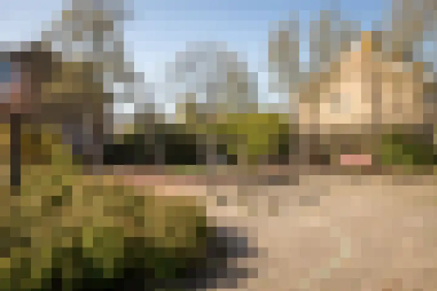 Amaryllislaan 34 Hoogkarspel thumbnail 37