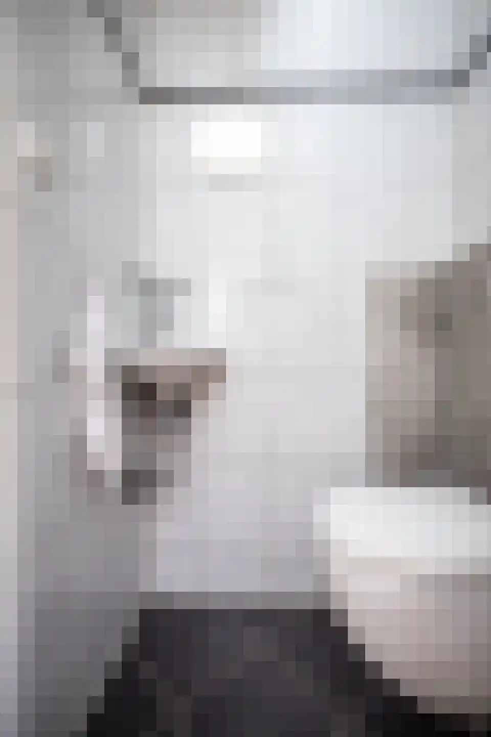Amaryllislaan 34 Hoogkarspel thumbnail 47