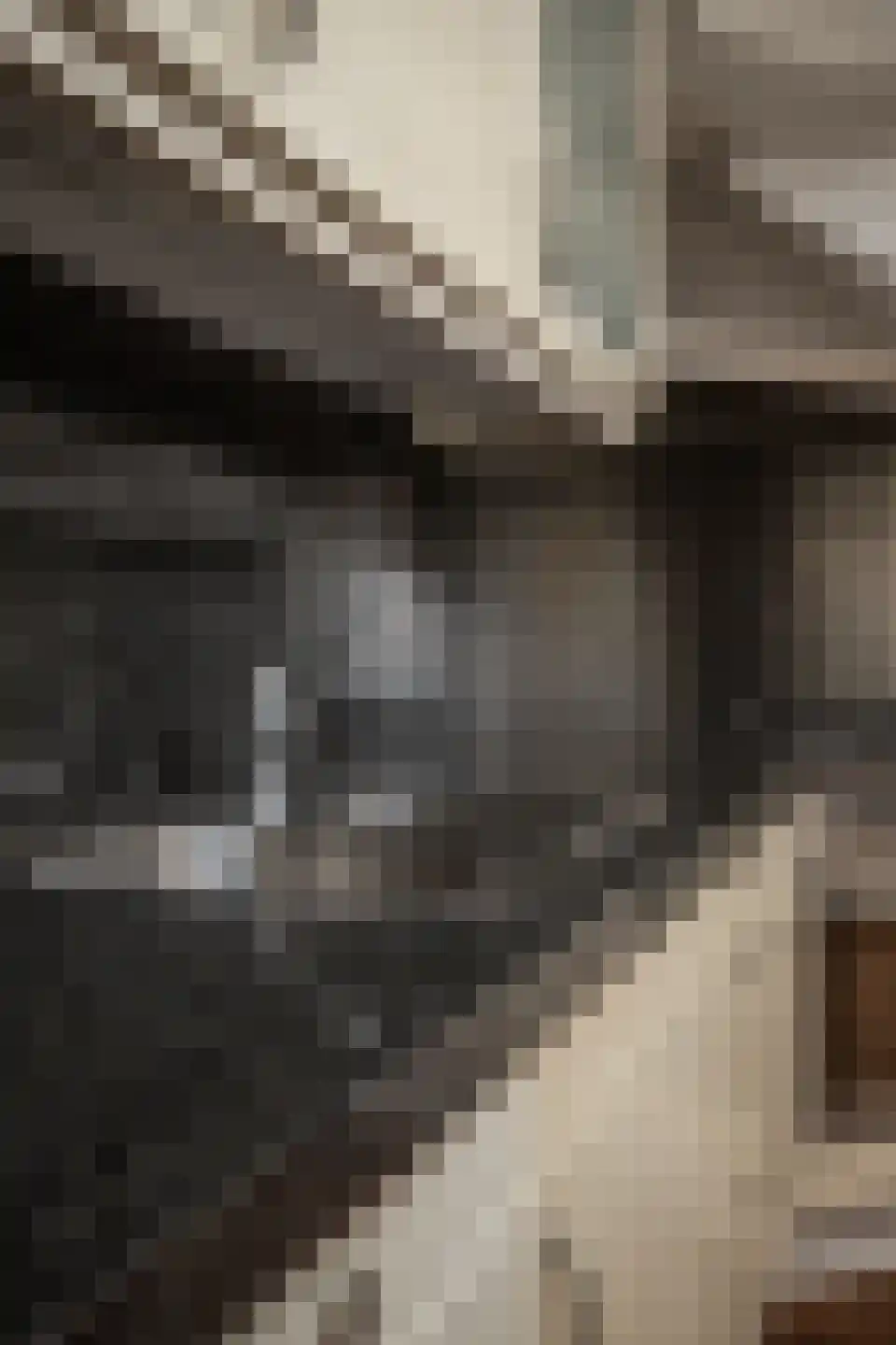 Amaryllislaan 34 Hoogkarspel thumbnail 48