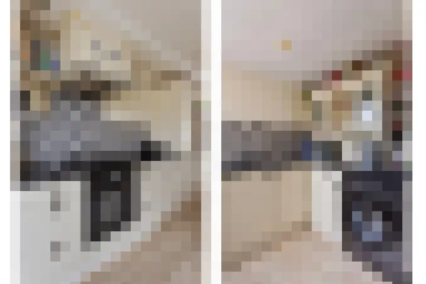 Amaryllislaan 38 Hoogkarspel thumbnail 18