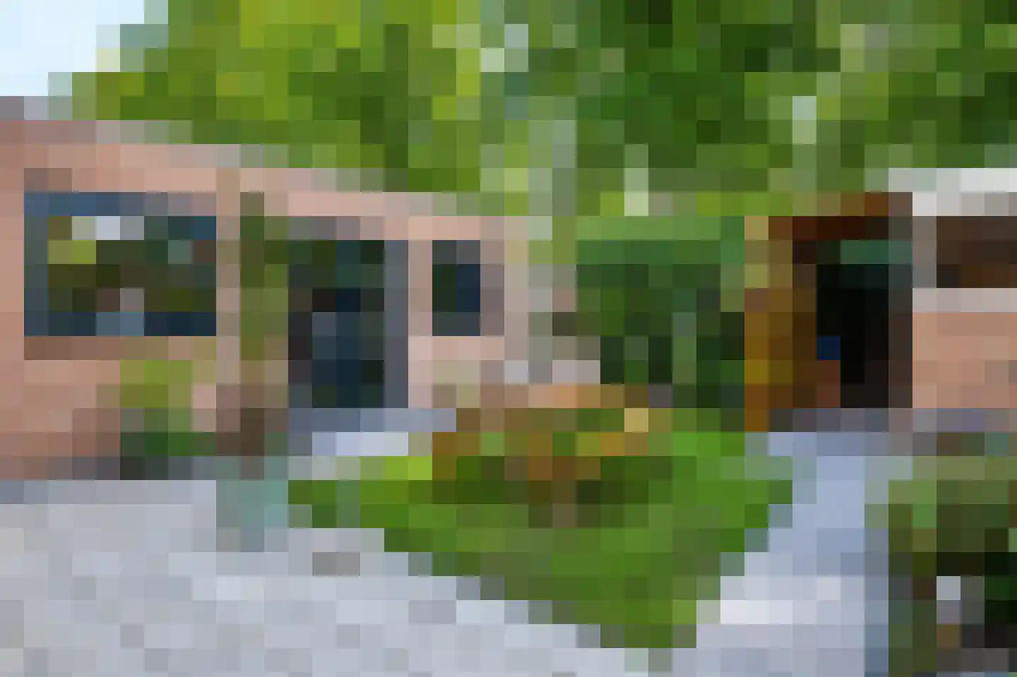 Amaryllislaan 4 Bennebroek thumbnail 29