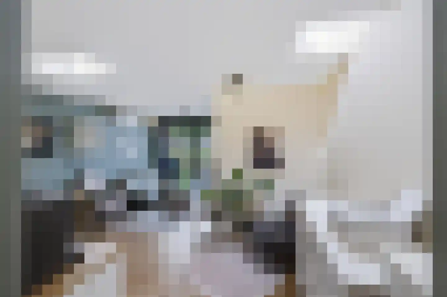 Amaryllislaan 4 Bennebroek thumbnail 31