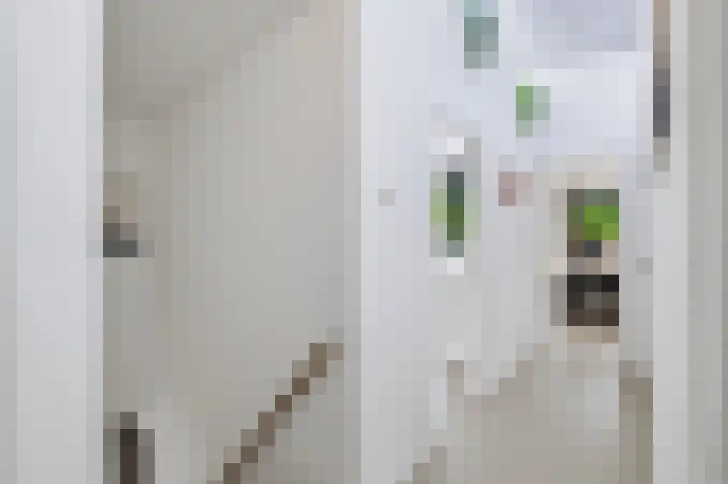 Amaryllislaan 4 Bennebroek thumbnail 44