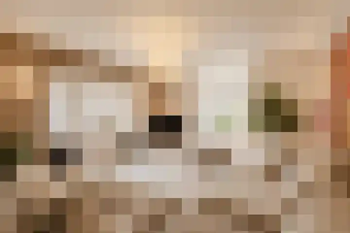 Amaryllislaan 4 Heemstede thumbnail 12