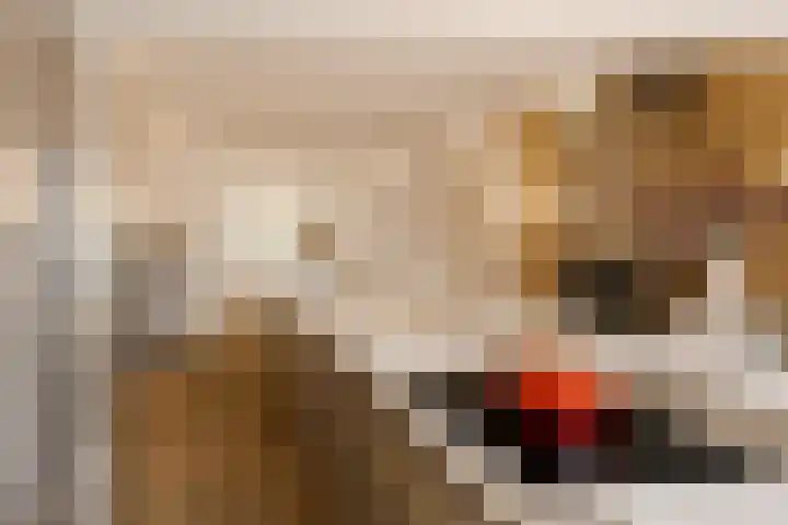 Amaryllislaan 4 Heemstede thumbnail 19