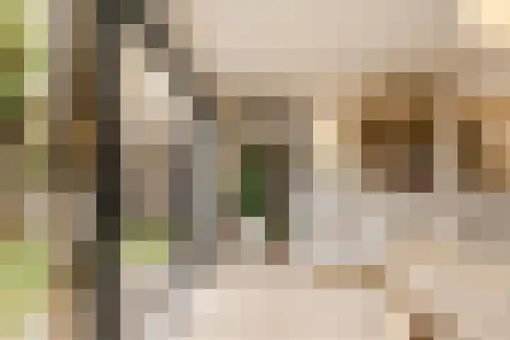 Amaryllislaan 4 Heemstede thumbnail 21