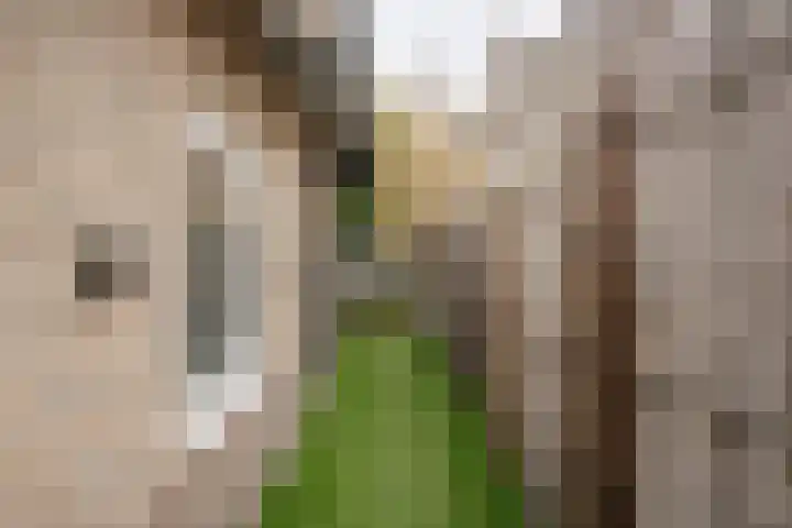 Amaryllislaan 4 Heemstede thumbnail 33