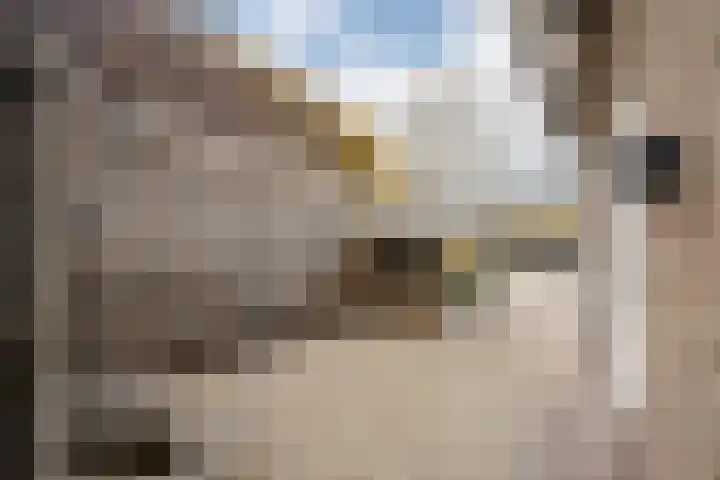 Amaryllislaan 4 Heemstede thumbnail 35