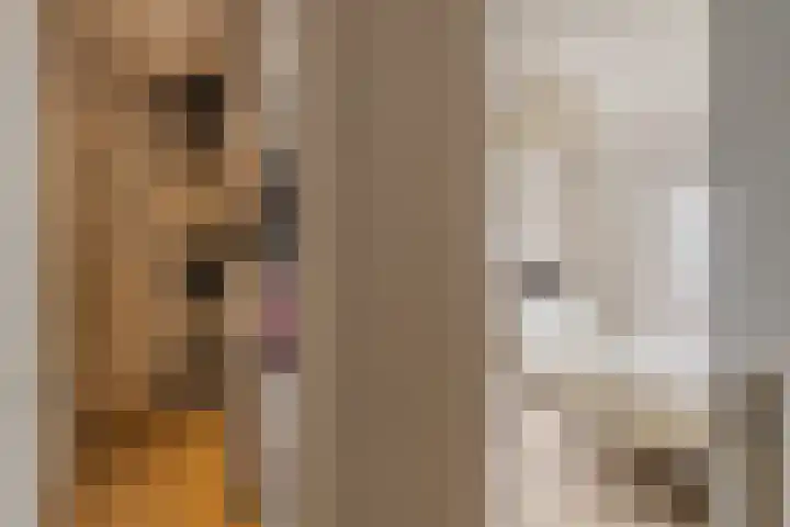 Amaryllislaan 4 Heemstede thumbnail 41