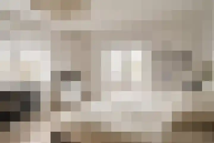 Amaryllislaan 4 Heemstede thumbnail 42