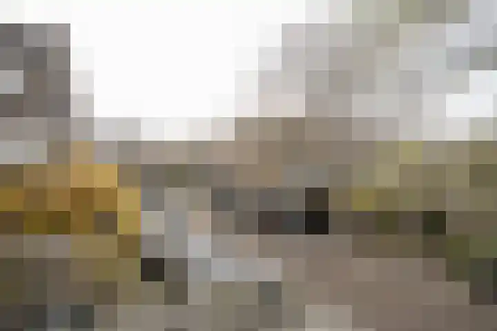 Amaryllislaan 4 Heemstede thumbnail 45