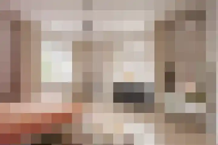 Amaryllislaan 4 Heemstede thumbnail 48