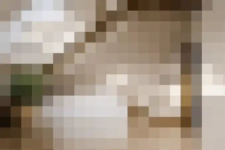 Amaryllislaan 4 Heemstede thumbnail 57