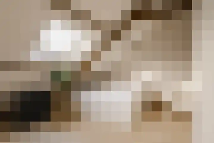 Amaryllislaan 4 Heemstede thumbnail 59
