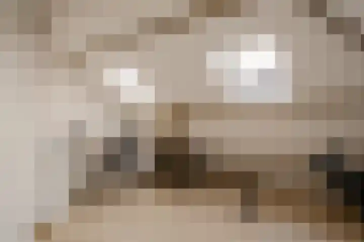 Amaryllislaan 4 Heemstede thumbnail 61