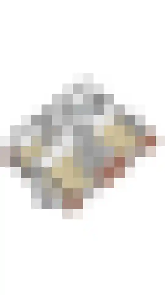 Amaryllislaan 4 Heemstede thumbnail 69