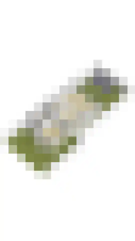 Amaryllislaan 4 Heemstede thumbnail 75
